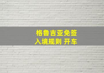 格鲁吉亚免签入境规则 开车